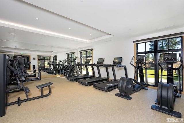 workout area featuring a tray ceiling