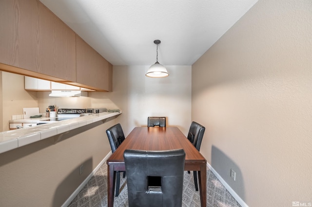 dining room with carpet floors