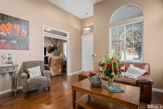 living room featuring lofted ceiling and dark hardwood / wood-style floors