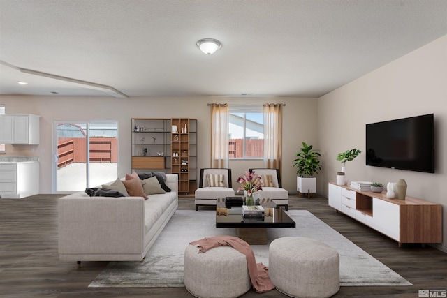 living room featuring a textured ceiling and dark wood-type flooring