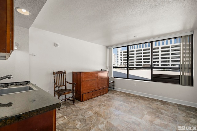 interior space with a textured ceiling and sink