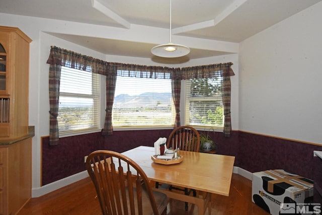 dining area featuring hardwood / wood-style flooring