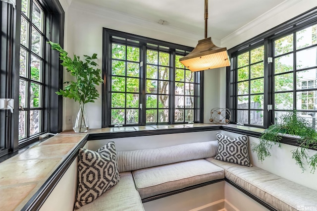 sunroom featuring a wealth of natural light