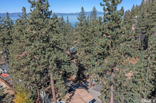 drone / aerial view featuring a mountain view