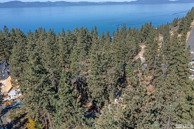 birds eye view of property with a water and mountain view