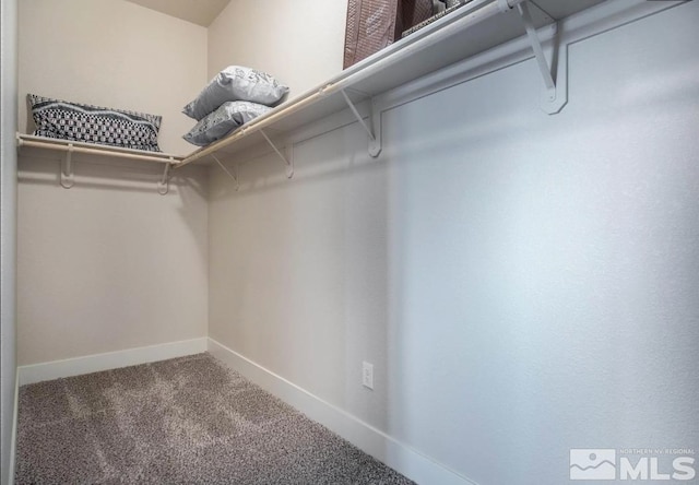 walk in closet with carpet flooring