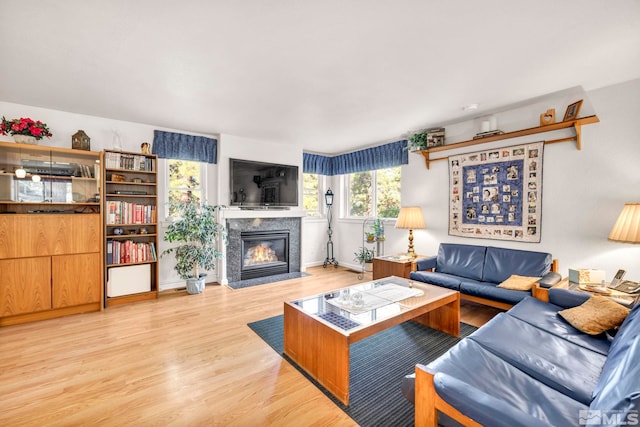 living room featuring a premium fireplace and light hardwood / wood-style floors