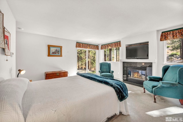 carpeted bedroom featuring access to exterior