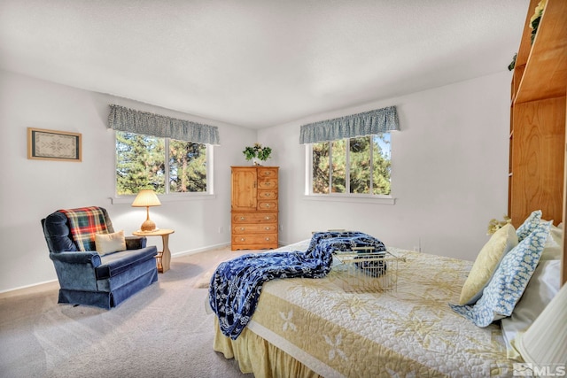 carpeted bedroom with multiple windows