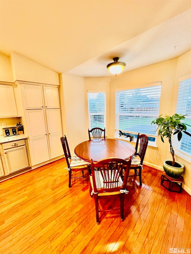 dining room with light wood-type flooring and a wealth of natural light