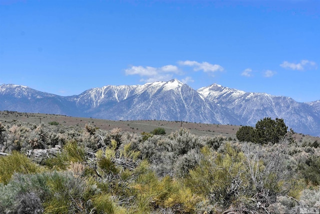 TBD Homestead, Gardnerville NV, 89410 land for sale