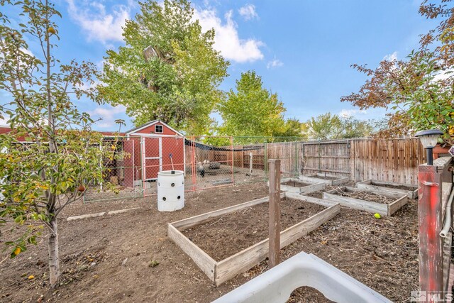 view of yard with a shed