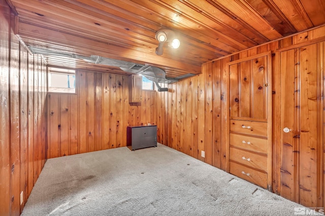 basement with wooden walls and carpet