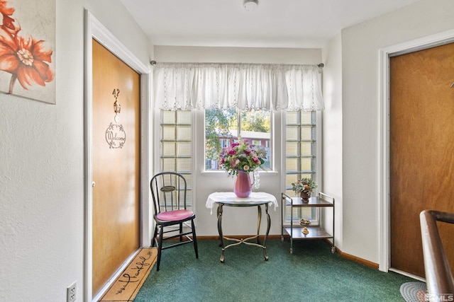 living area featuring carpet floors