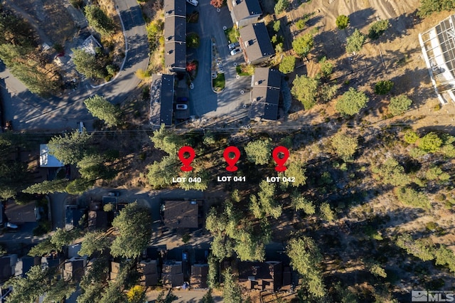 234 Bedell, Glenbrook NV, 89413 land for sale