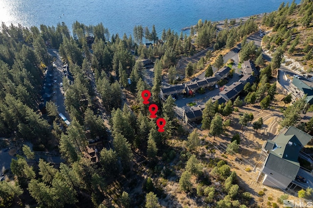 228 Bedell, Glenbrook NV, 89413 land for sale