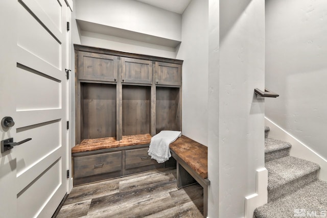 mudroom featuring dark wood-type flooring