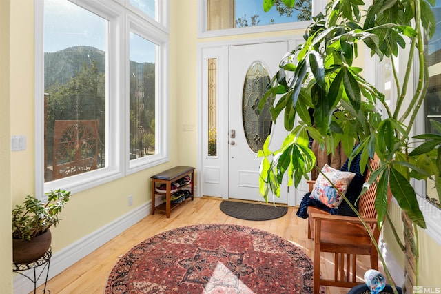 foyer with wood-type flooring, a mountain view, and a wealth of natural light