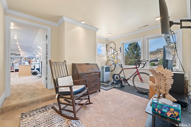 interior space featuring ornamental molding, light carpet, and vaulted ceiling