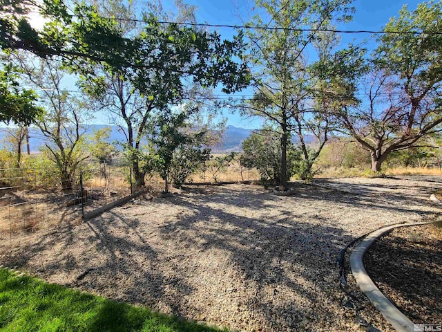 view of yard with a mountain view