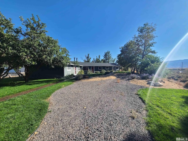 ranch-style house with a front yard