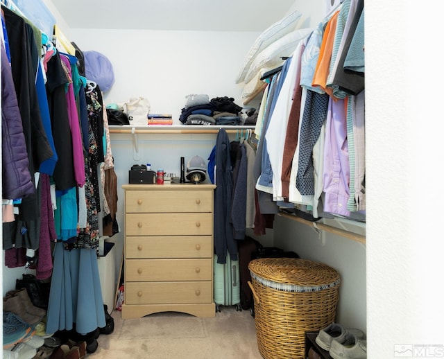 spacious closet featuring light carpet