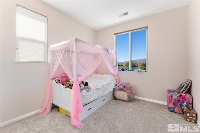 view of carpeted bedroom