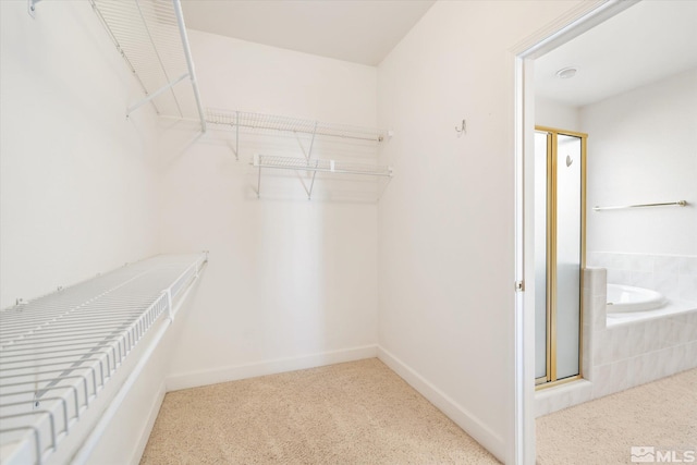 walk in closet featuring carpet floors