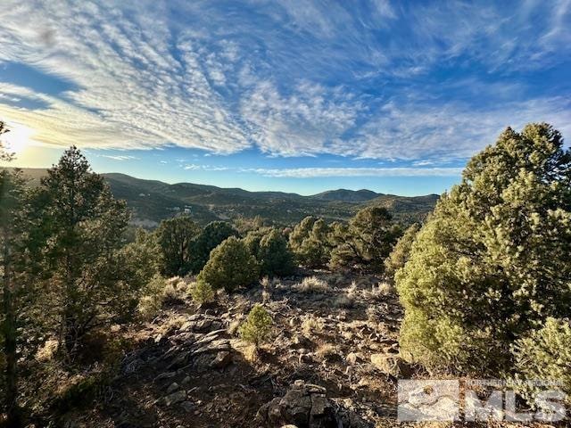 2051 Lousetown Rd, Reno NV, 89521 land for sale