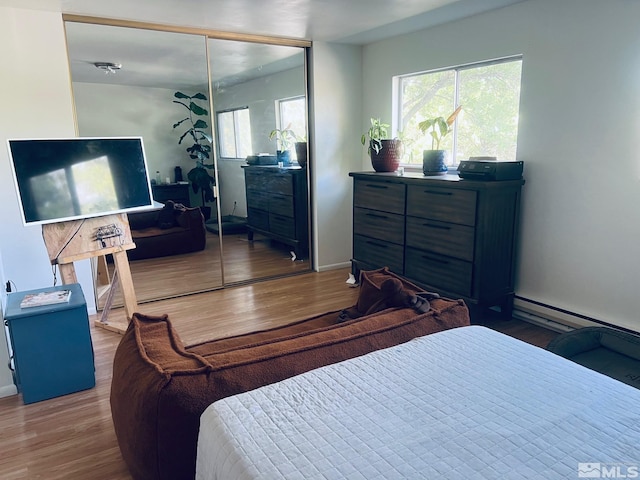 bedroom featuring wood finished floors and a closet