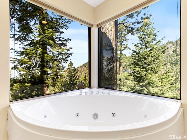 bathroom with a tub