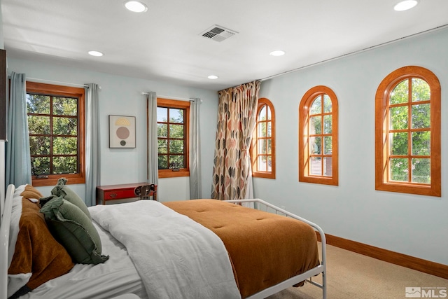 bedroom with carpet flooring and multiple windows