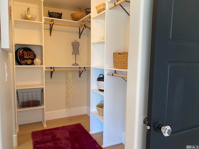 spacious closet with hardwood / wood-style flooring