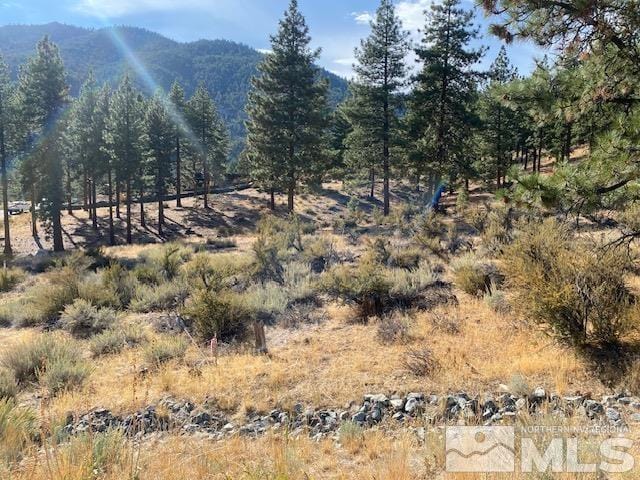 196 Scenic Range Ct, Carson City NV, 89705 land for sale