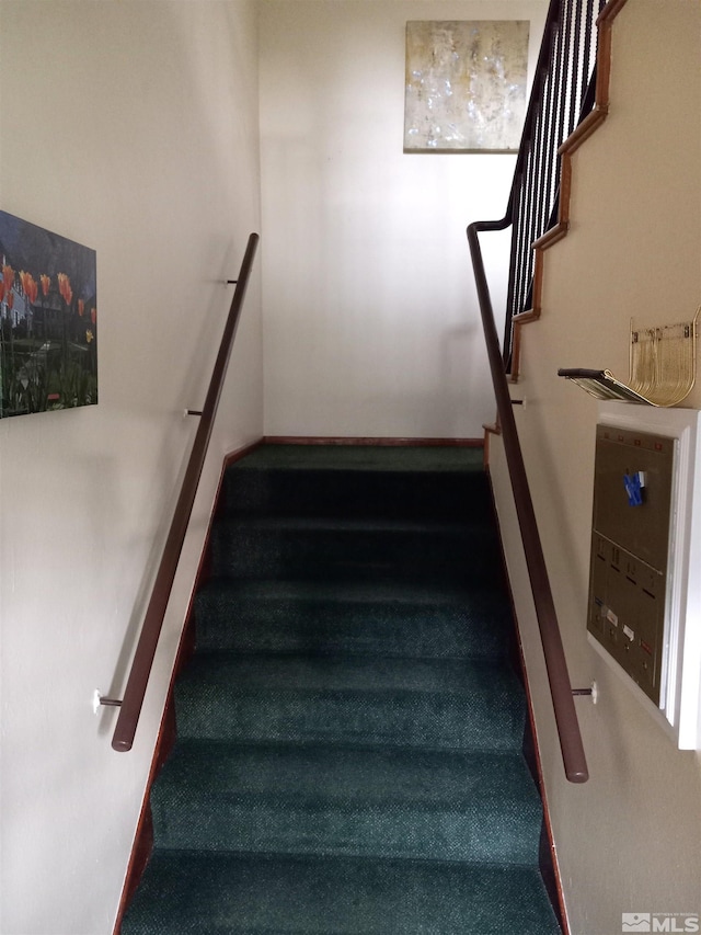 stairway featuring carpet floors