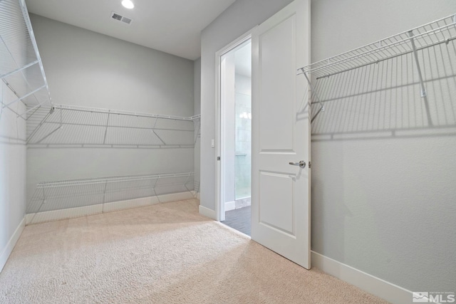 spacious closet featuring light colored carpet