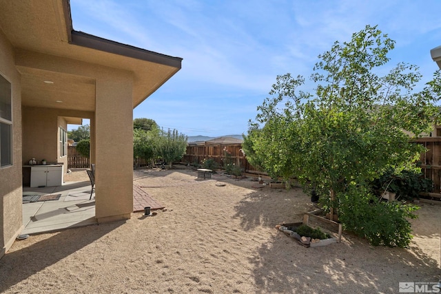 view of yard featuring a patio area