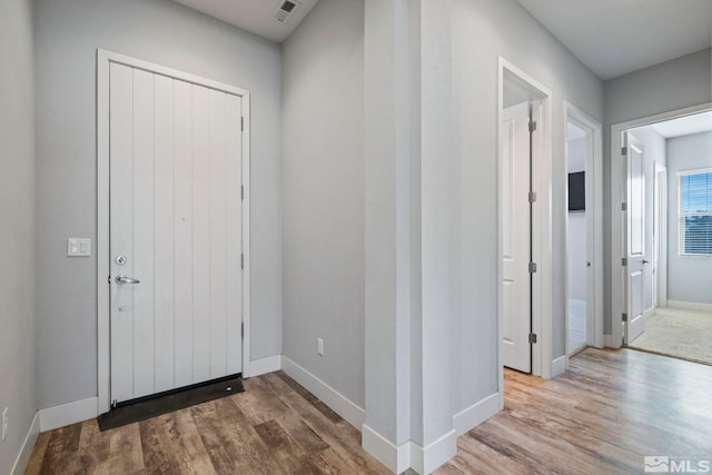 entrance foyer featuring wood-type flooring