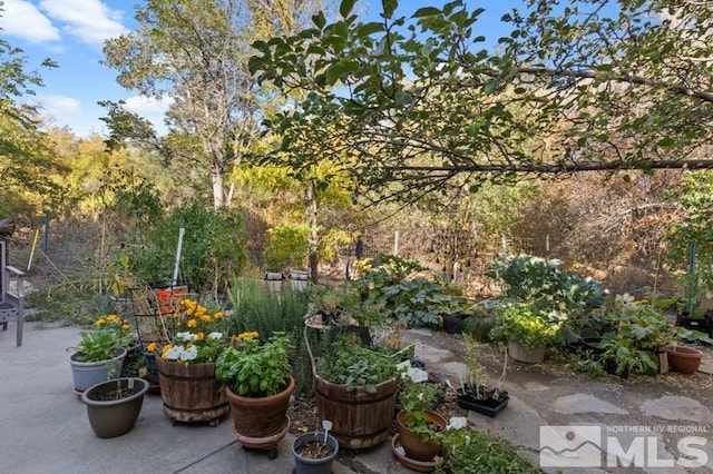 view of yard with a patio area