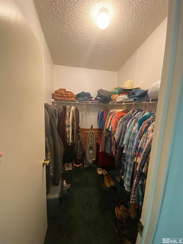 spacious closet with carpet