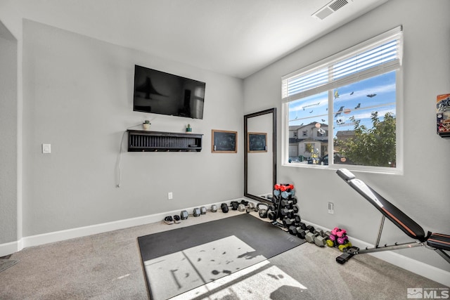 workout room with carpet floors