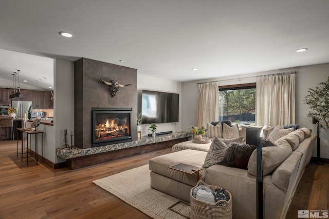 living room with a fireplace and dark hardwood / wood-style flooring