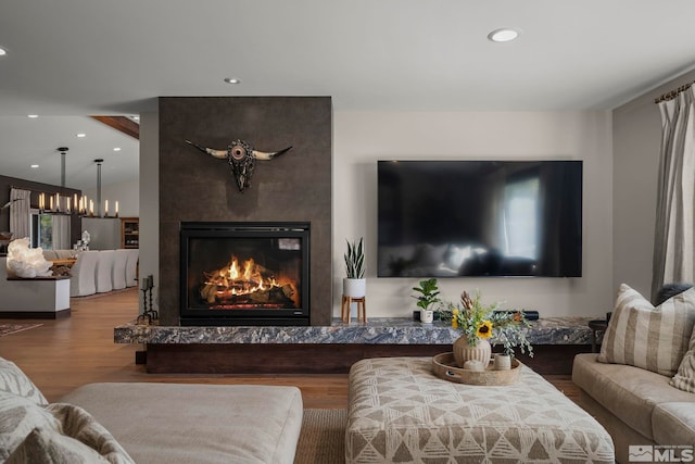 living room featuring a large fireplace and wood-type flooring