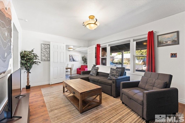 living room featuring light hardwood / wood-style flooring