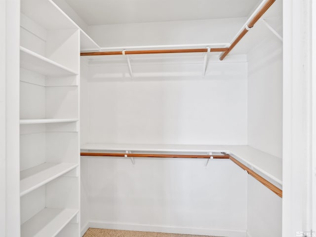 walk in closet featuring carpet floors