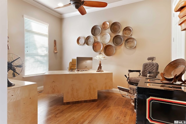 home office with ornamental molding, light wood-type flooring, and ceiling fan