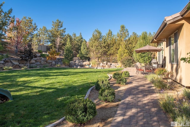 view of yard with a patio area