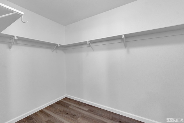 spacious closet with dark hardwood / wood-style flooring