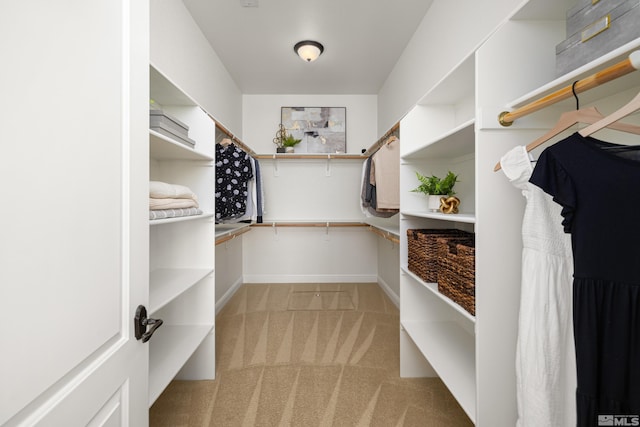 walk in closet with light carpet