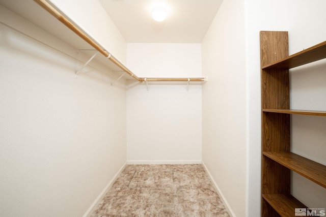 view of spacious closet